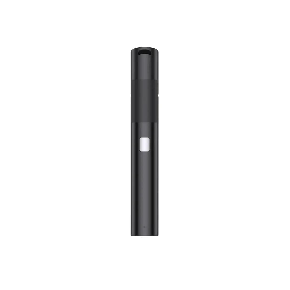 Voozr – P2 B Pen (Dry Herb)